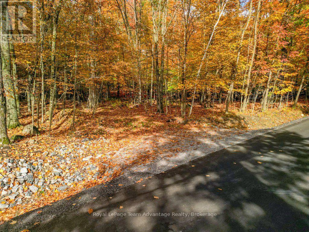 129 & 131 Bayview Drive, Carling, Ontario  P0G 1G0 - Photo 32 - X14083308