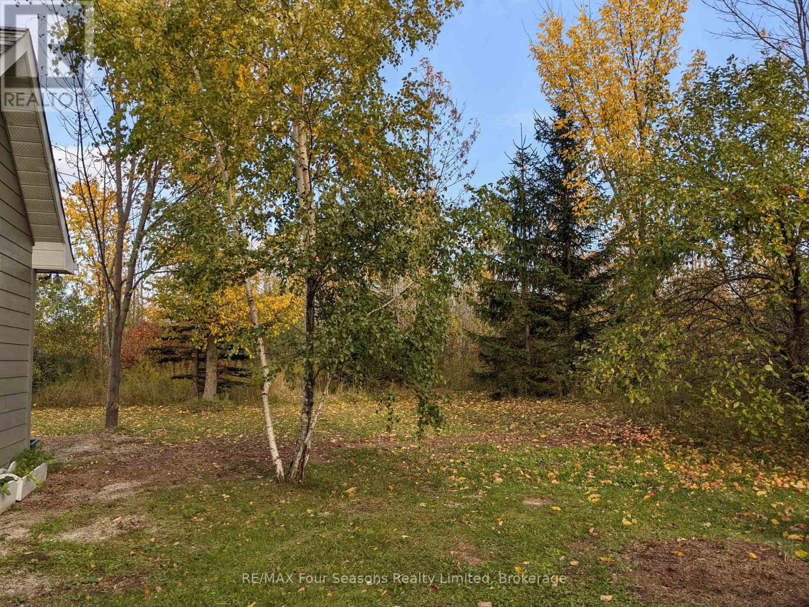 103 Robertson Avenue, Meaford, Ontario  N4L 1W7 - Photo 22 - X14081828