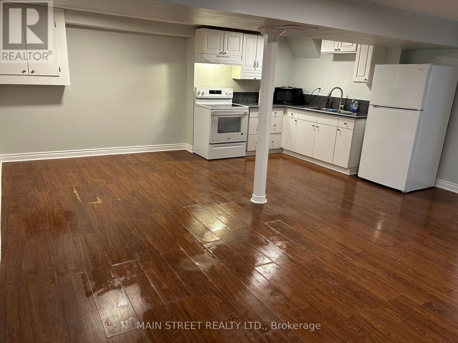 Basement - 204 Cherrywood Drive, Newmarket, Ontario  L3Y 2X8 - Photo 4 - N14080302