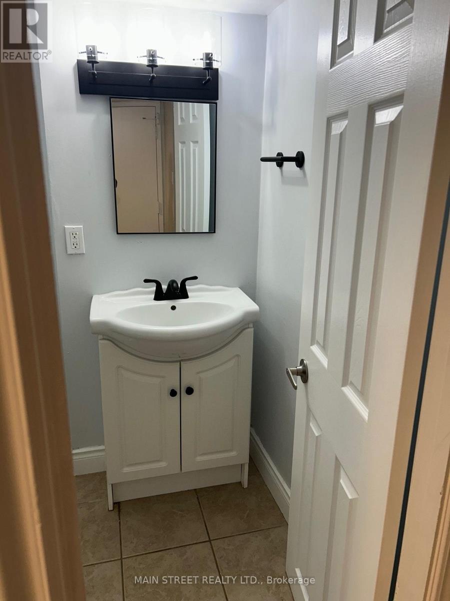 Basement - 204 Cherrywood Drive, Newmarket, Ontario  L3Y 2X8 - Photo 9 - N14080302