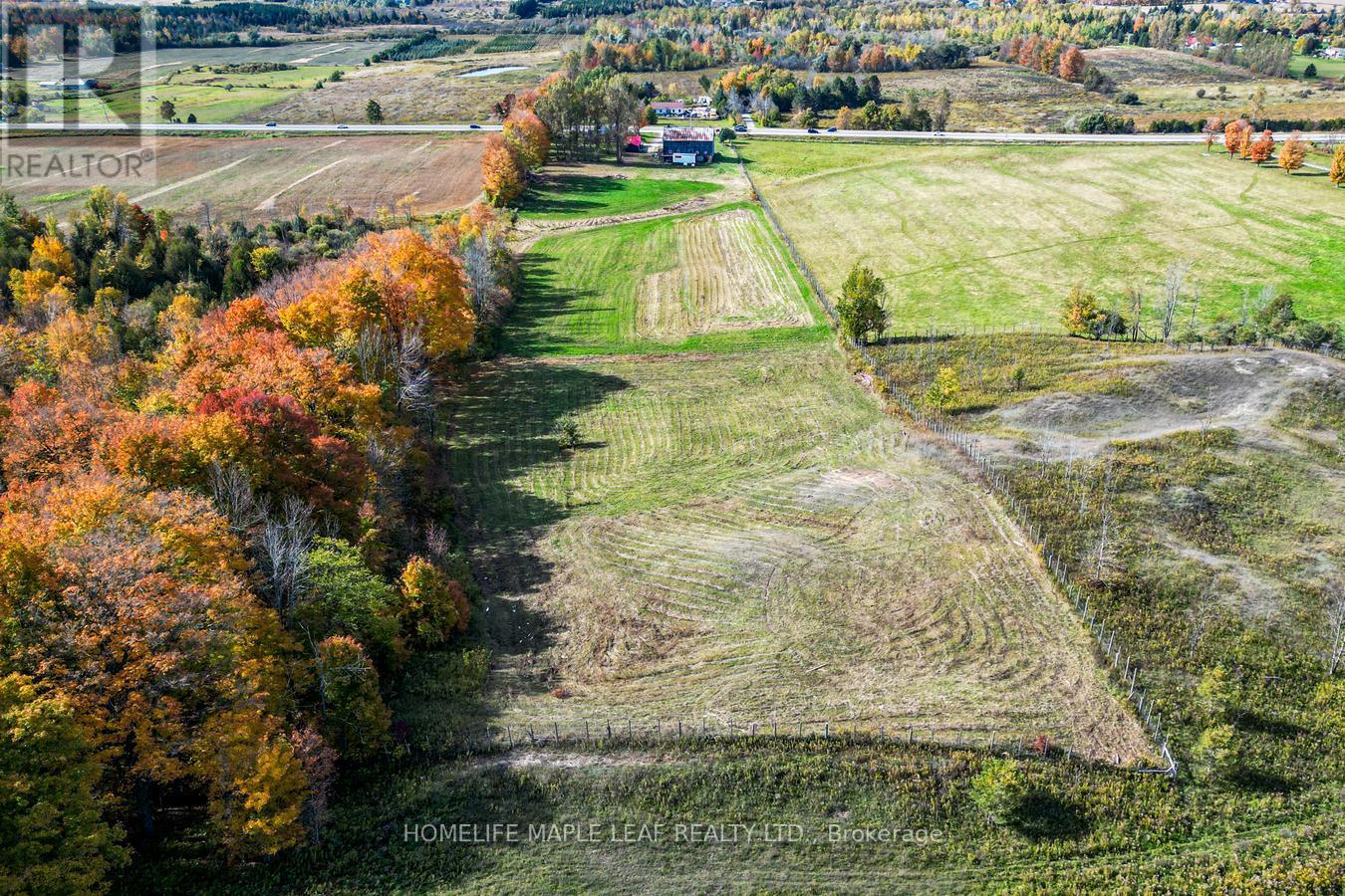635551 Highway 10, Mono, Ontario  L9V 0Z7 - Photo 39 - X14083752