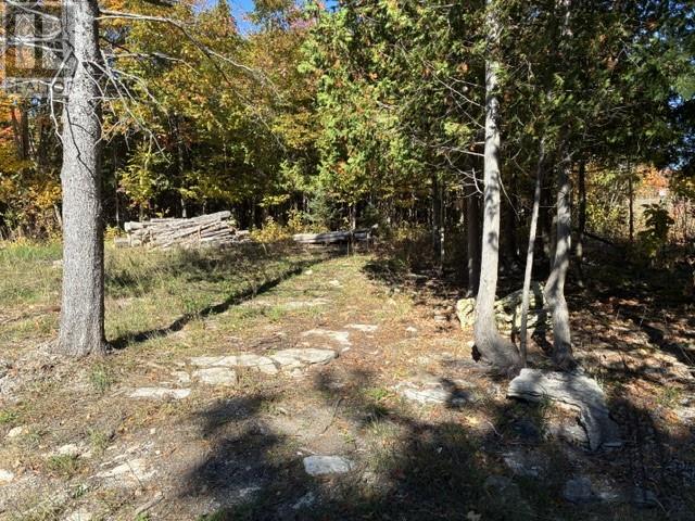 20211 Highway 6, Tehkummah, Ontario  P0P 2C0 - Photo 30 - 2130888