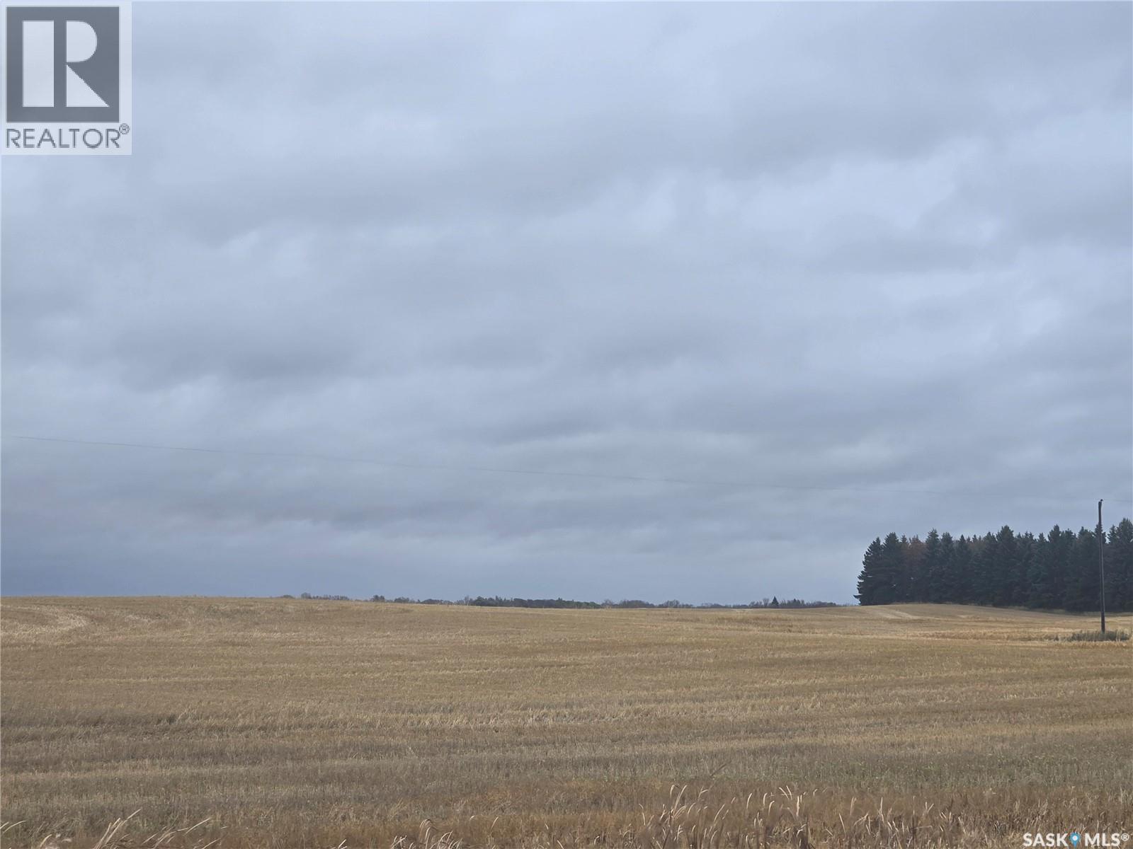 Schindel Farm, Stanley Rm No. 215, Saskatchewan  S0A 2P0 - Photo 14 - SK051223
