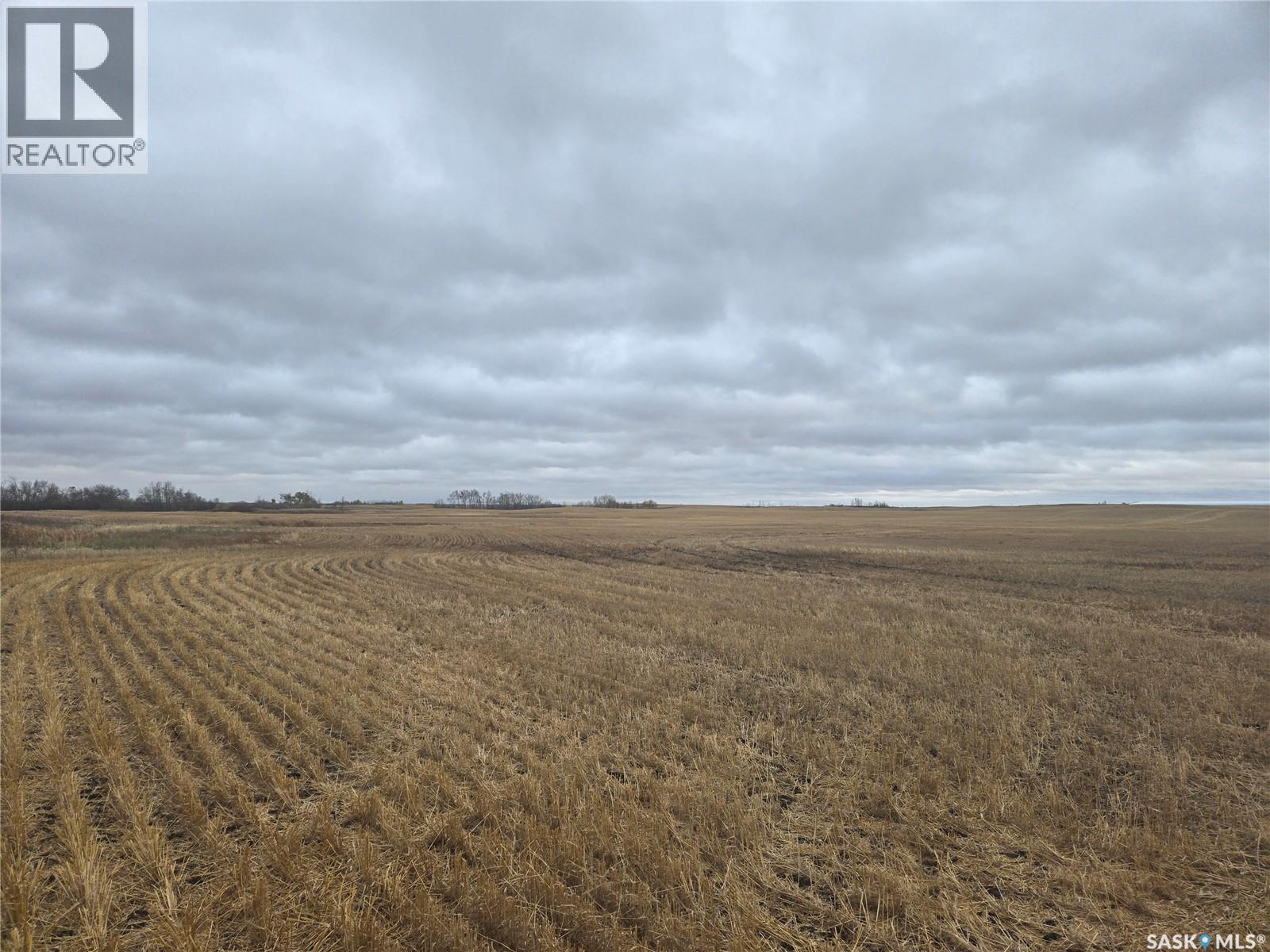 Schindel Farm, Stanley Rm No. 215, Saskatchewan  S0A 2P0 - Photo 15 - SK051223