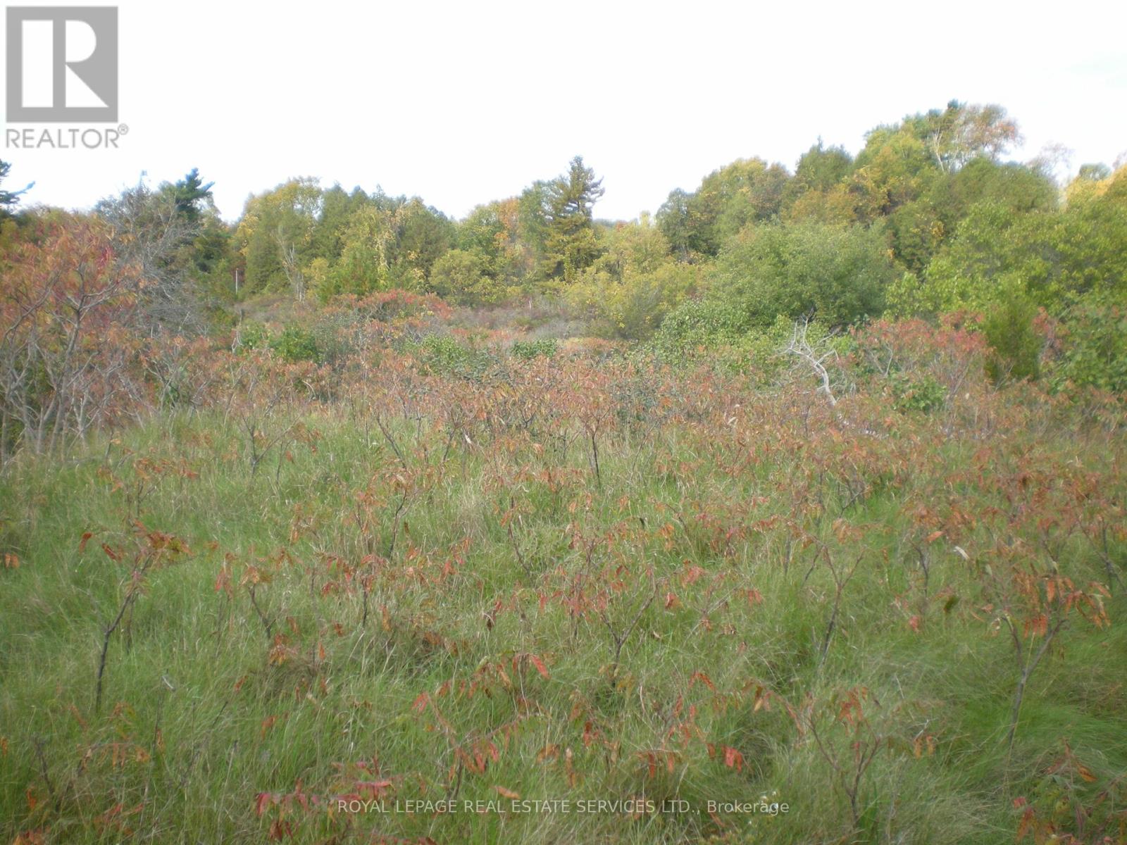 Lt 27 Pts 2&3 County Road 10, Prince Edward County, Ontario  K0K 2T0 - Photo 6 - X14084234