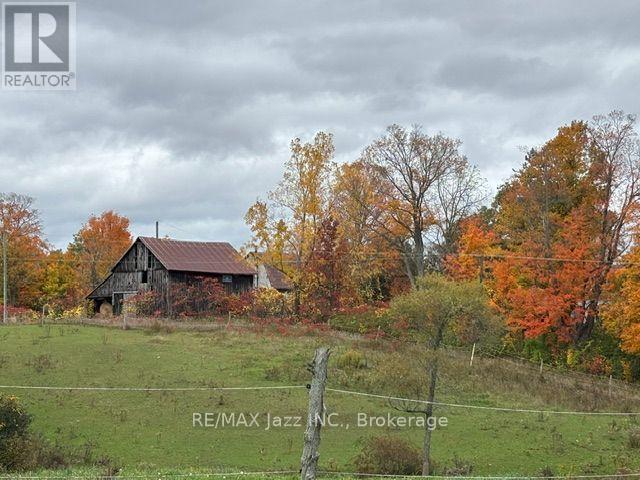 224 Christiani Road, Quinte West, Ontario  K0K 1H0 - Photo 23 - X14081384