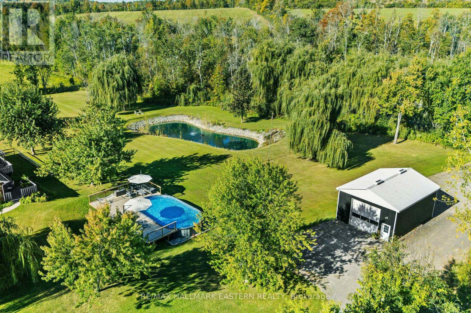 278 County Road 4 Road, Douro-Dummer, Ontario K9J 6Y1 - Photo 5 - X14084788