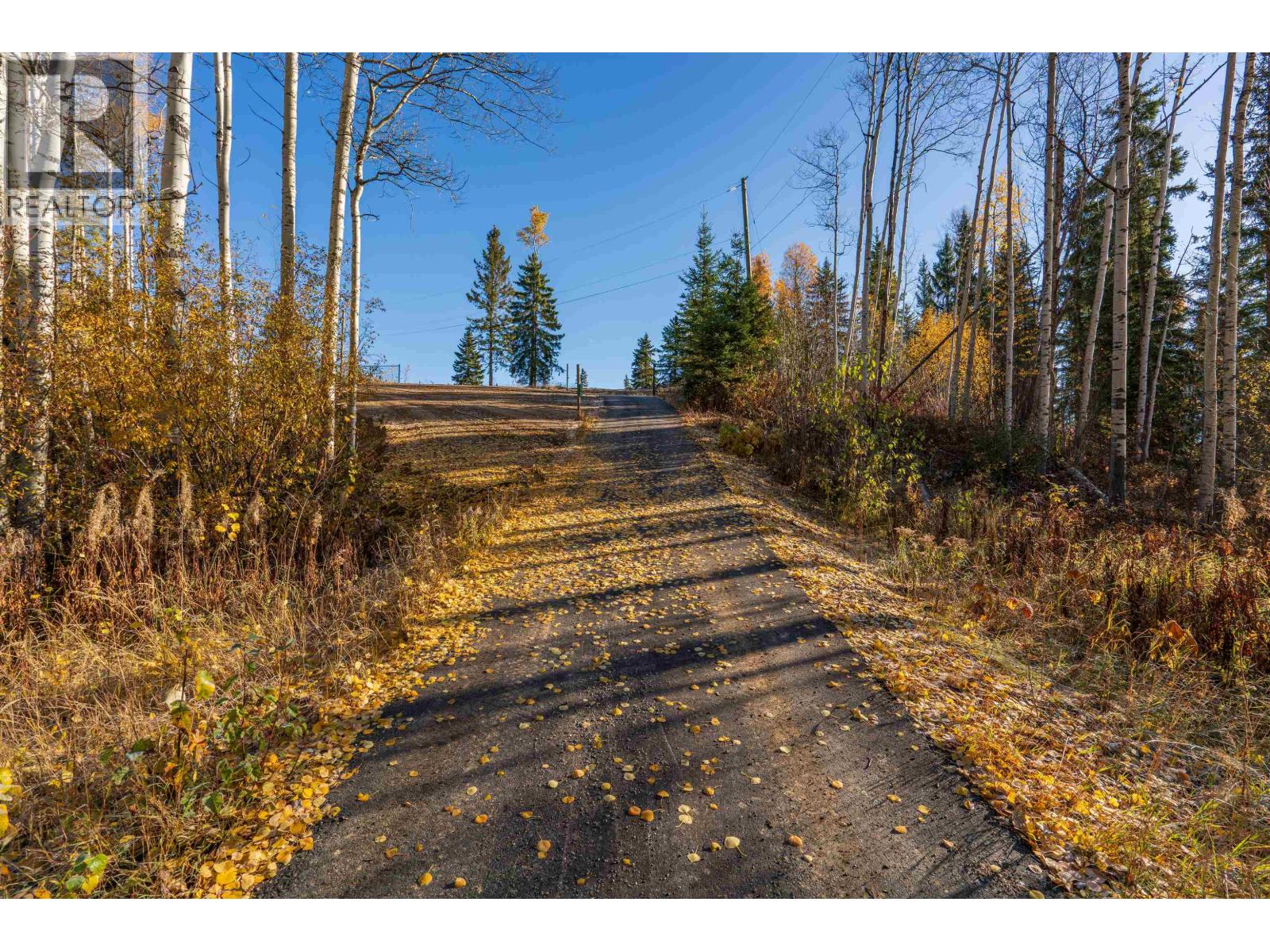 25260 N Ness Lake Road, Prince George, British Columbia  V2K 5N3 - Photo 18 - R3172058