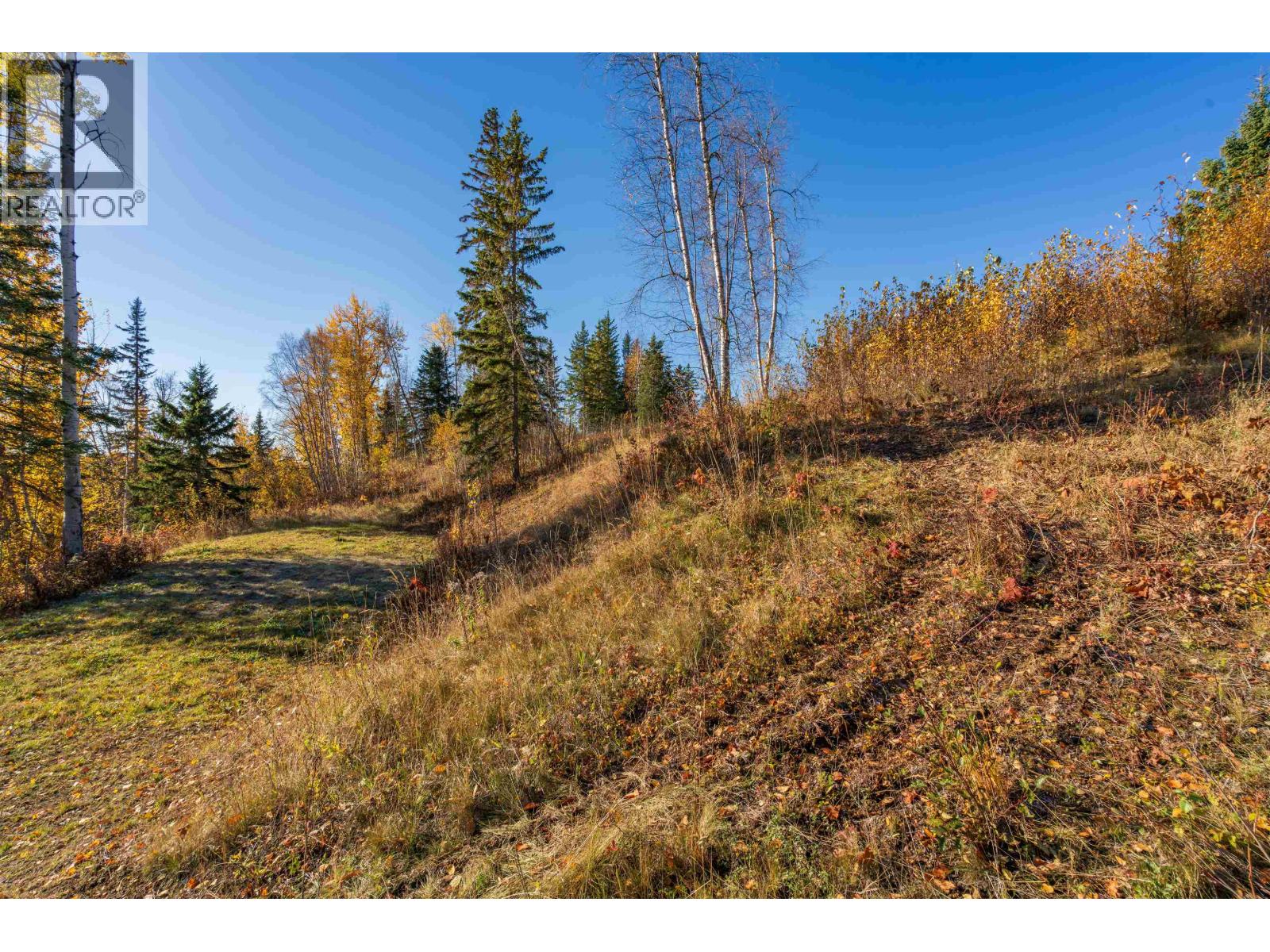 25260 N Ness Lake Road, Prince George, British Columbia  V2K 5N3 - Photo 23 - R3172058
