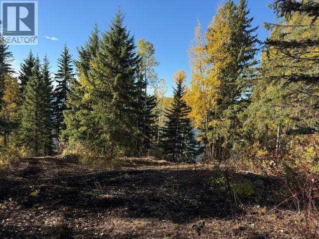 25260 N Ness Lake Road, Prince George, British Columbia  V2K 5N3 - Photo 36 - R3172058