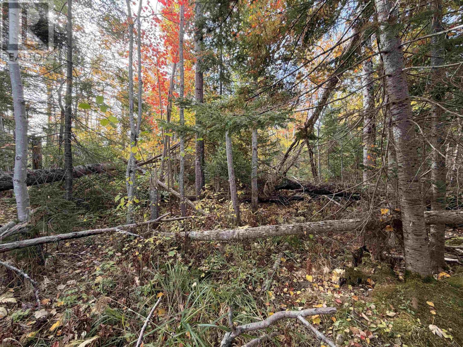 Lot 9 Brule Shore Road, Brule Shore, Nova Scotia  B0K 1V0 - Photo 8 - 202625344