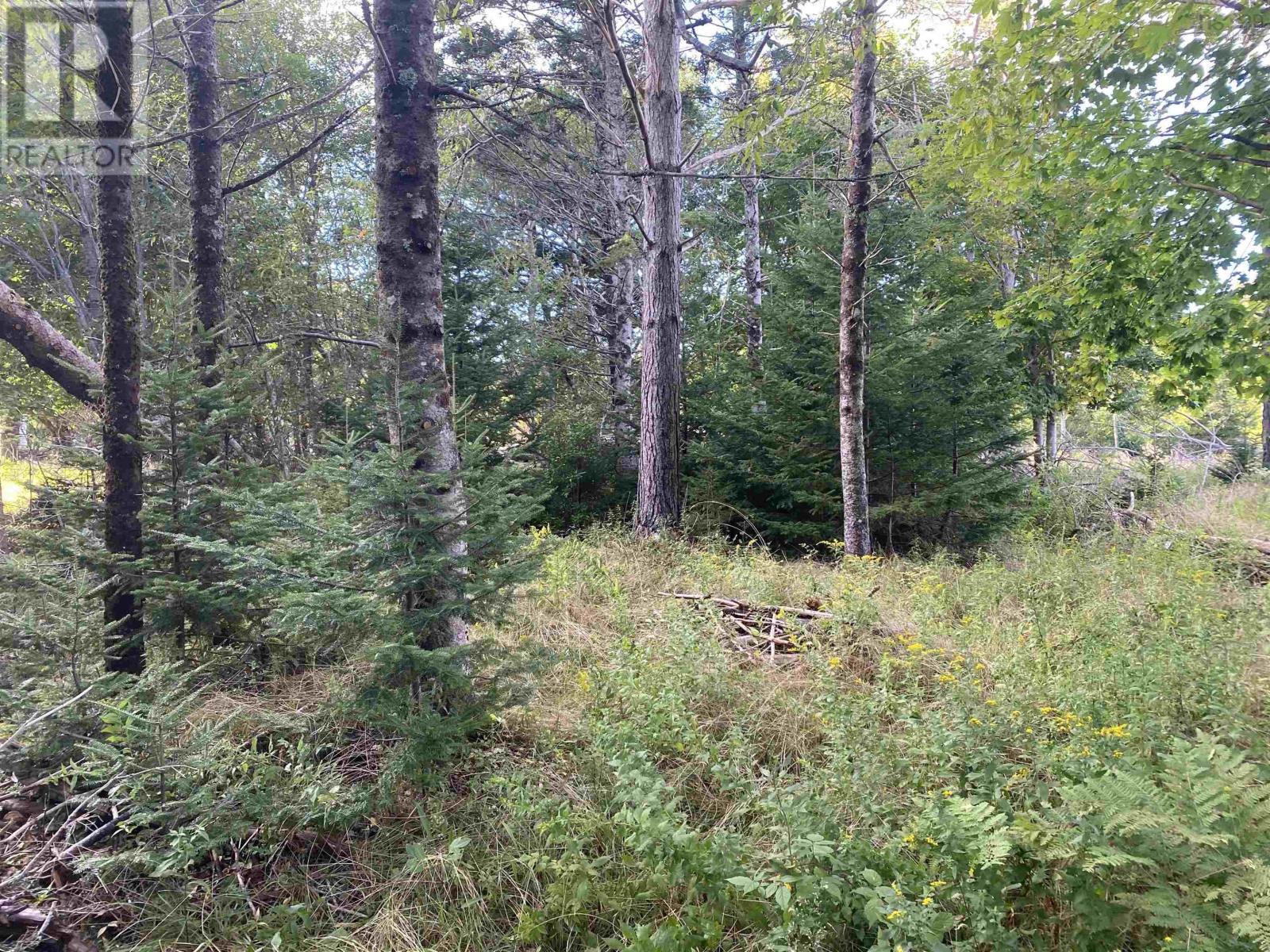 181 Port Latour Road, Port Clyde, Nova Scotia  B0W 2S0 - Photo 38 - 202625837