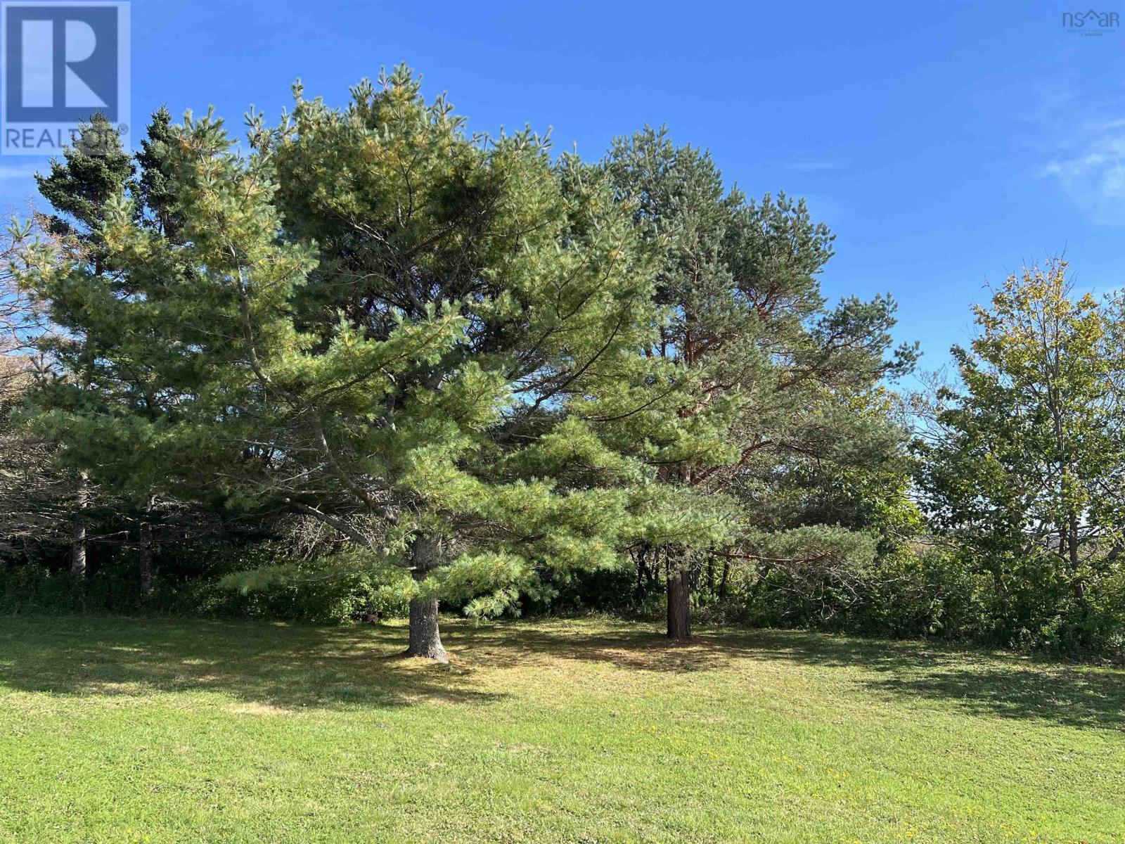 32 Chemin Des Bourque, Ste. Anne Du Ruisseau, Nova Scotia  B0W 2X0 - Photo 31 - 202601365