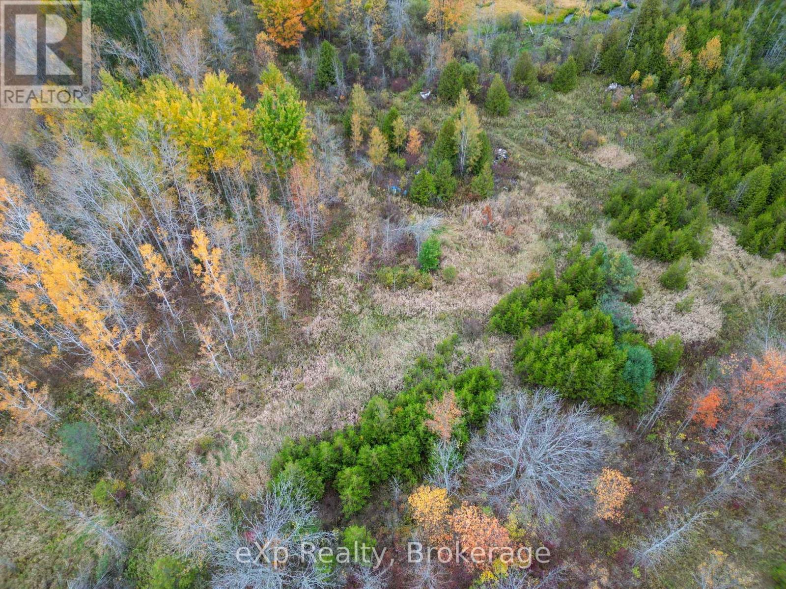 281140 Shouldice Block Road, Georgian Bluffs, Ontario  N0H 2K0 - Photo 10 - X14085442