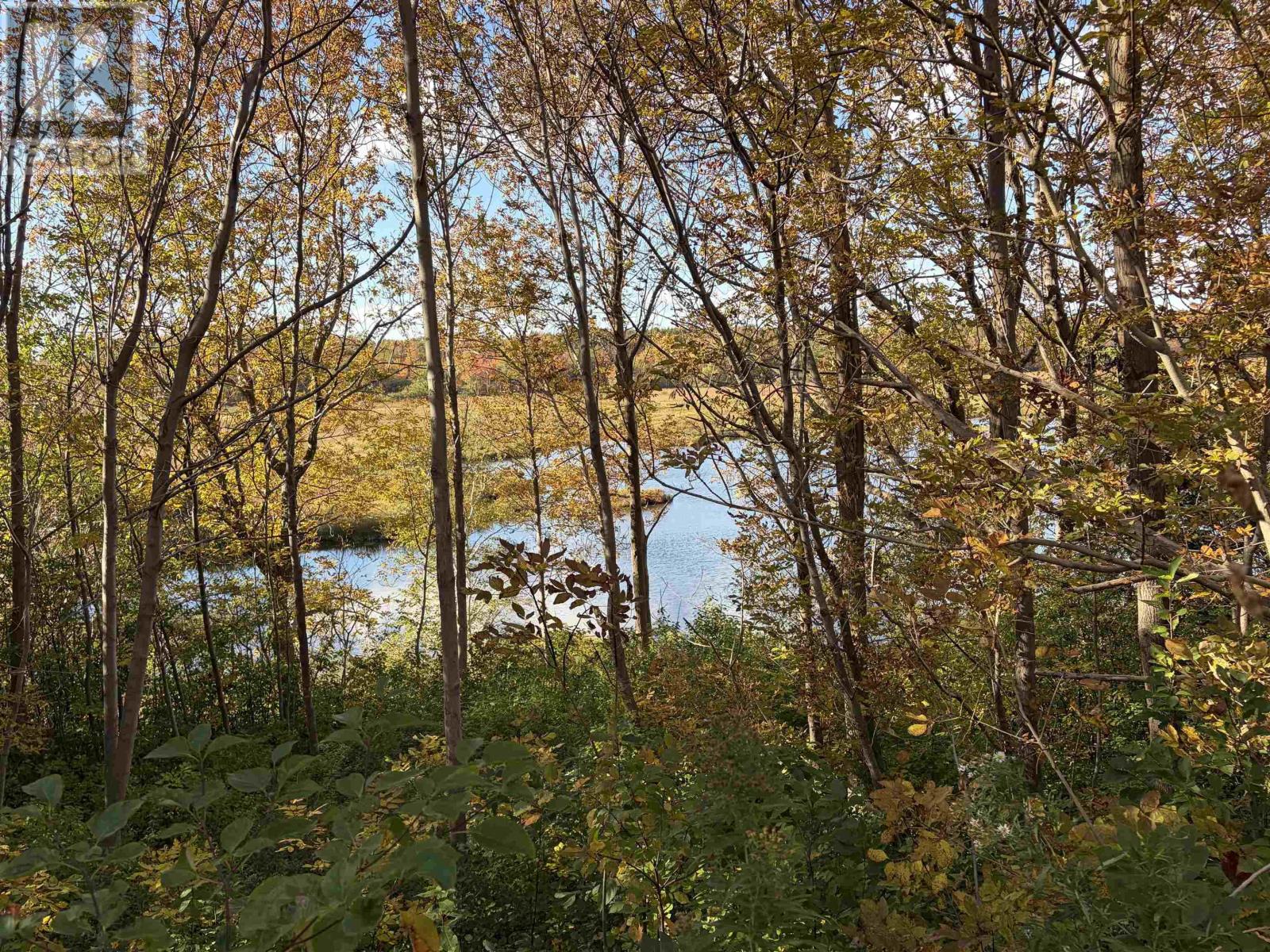 16445 Cabot Trail, La Prairie, Nova Scotia  B0E 1H0 - Photo 15 - 202625672