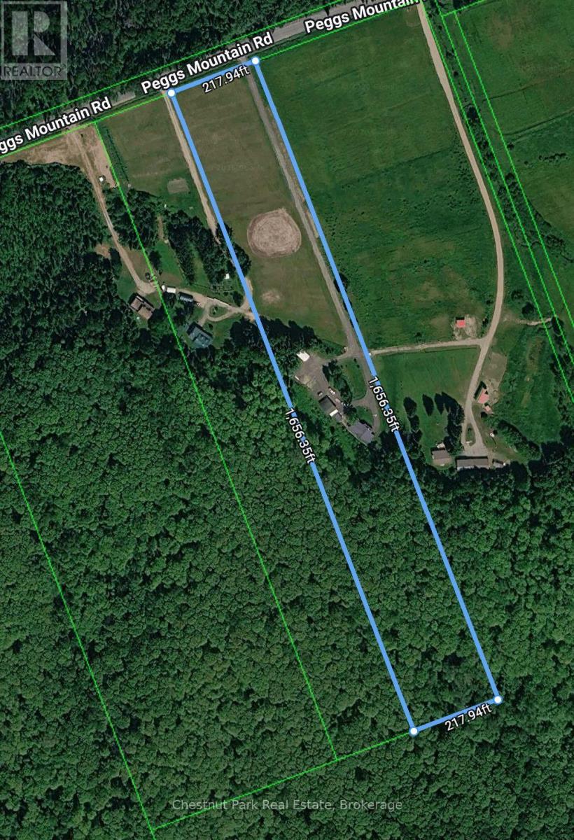 421 Peggs Mountain Road, Ryerson, Ontario  P0A 1C0 - Photo 49 - X14085640