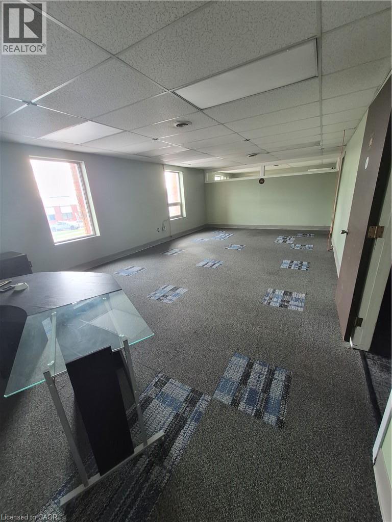 365 Grays Road, Hamilton, Ontario L8E 2Z1 - Photo 8 - 40871842