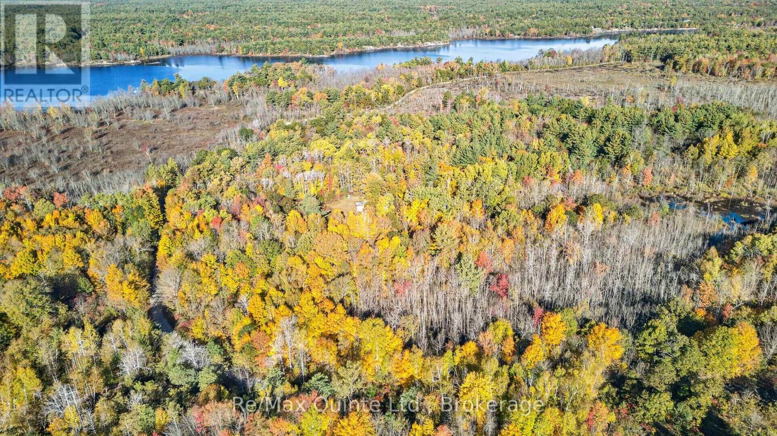 87 Gull Creek Lane, Stone Mills, Ontario  K0H 1B0 - Photo 16 - X14082816