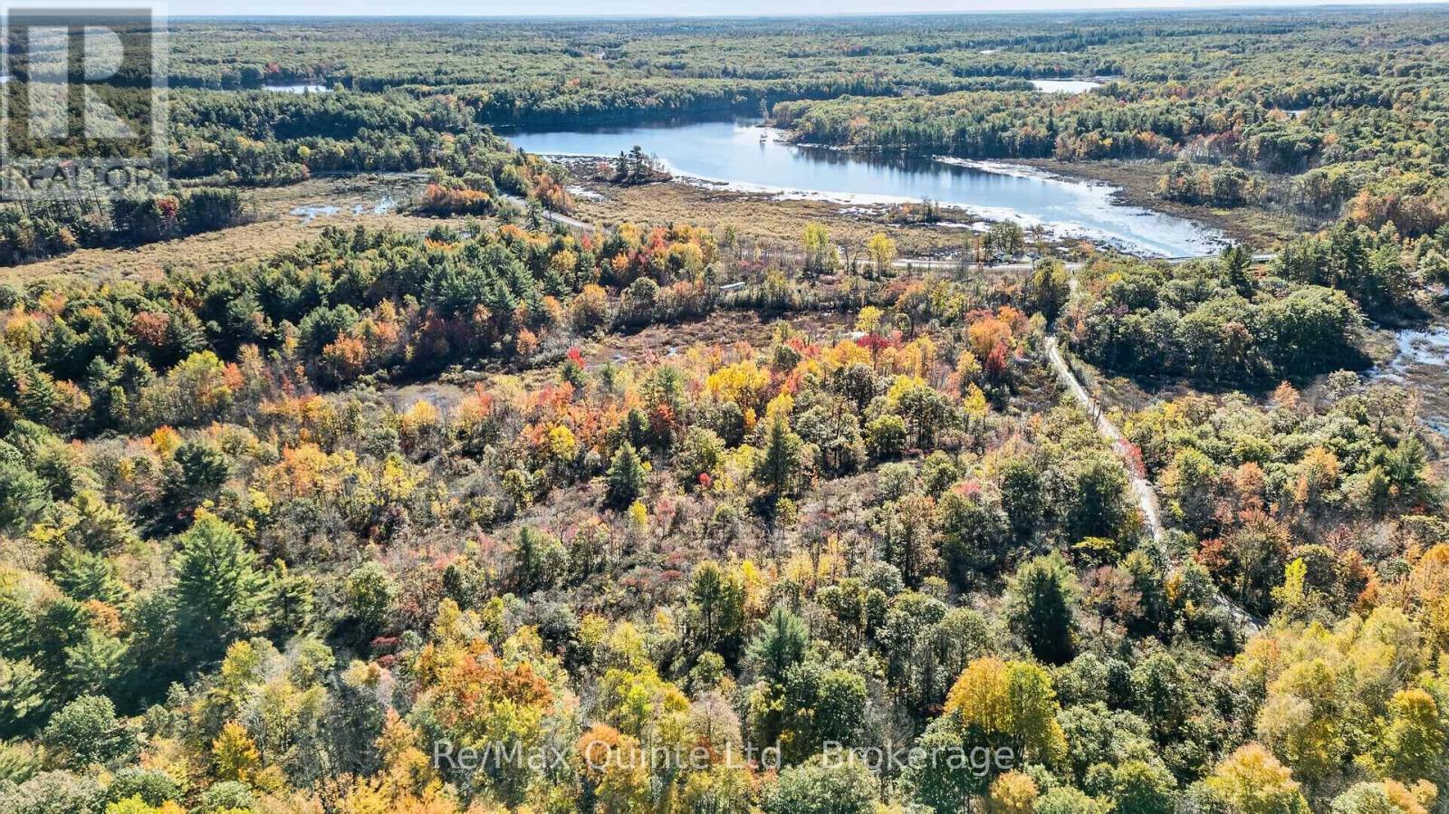 87 Gull Creek Lane, Stone Mills, Ontario  K0H 1B0 - Photo 20 - X14082816