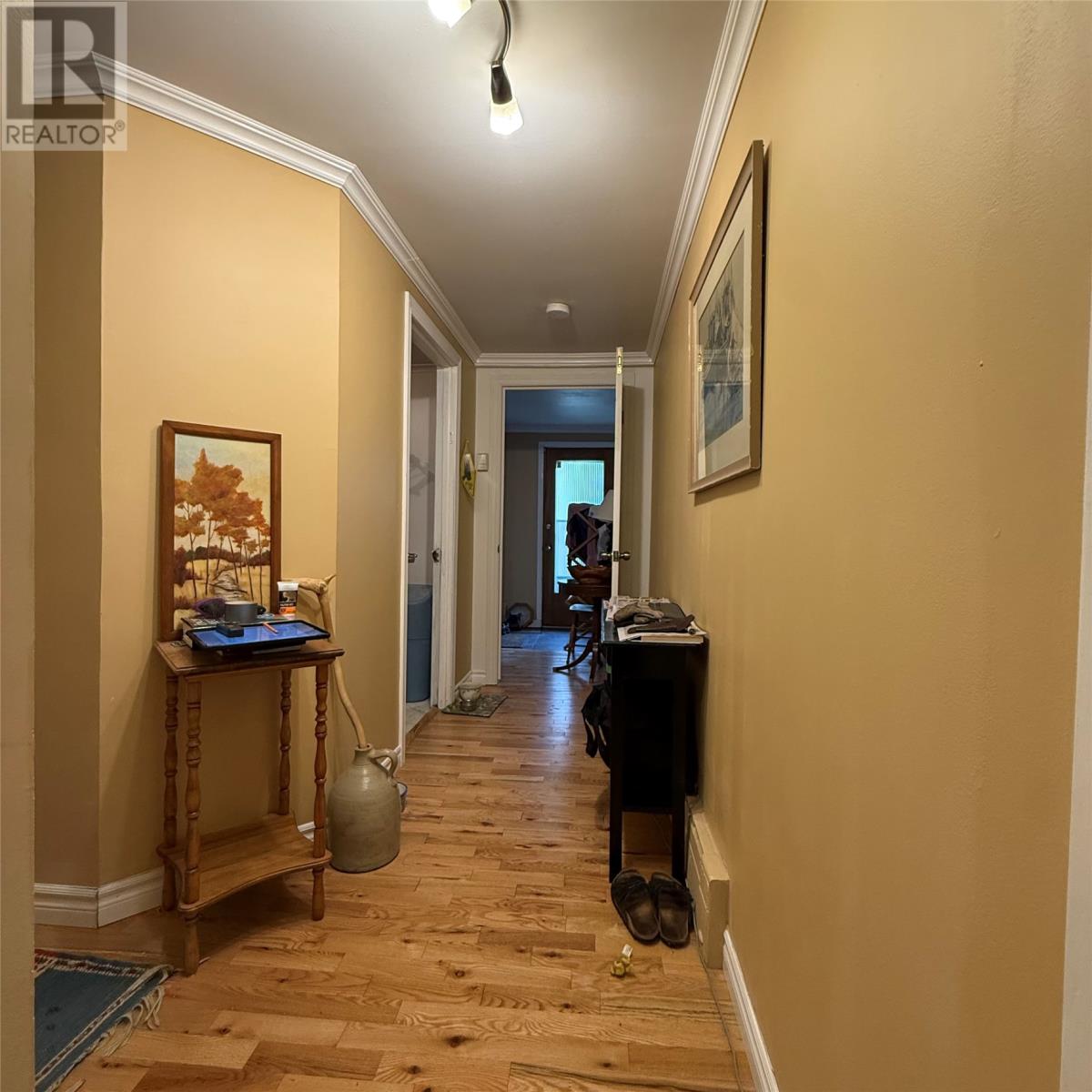 8 Fitzgibbon Street, St. John’s — photo 29