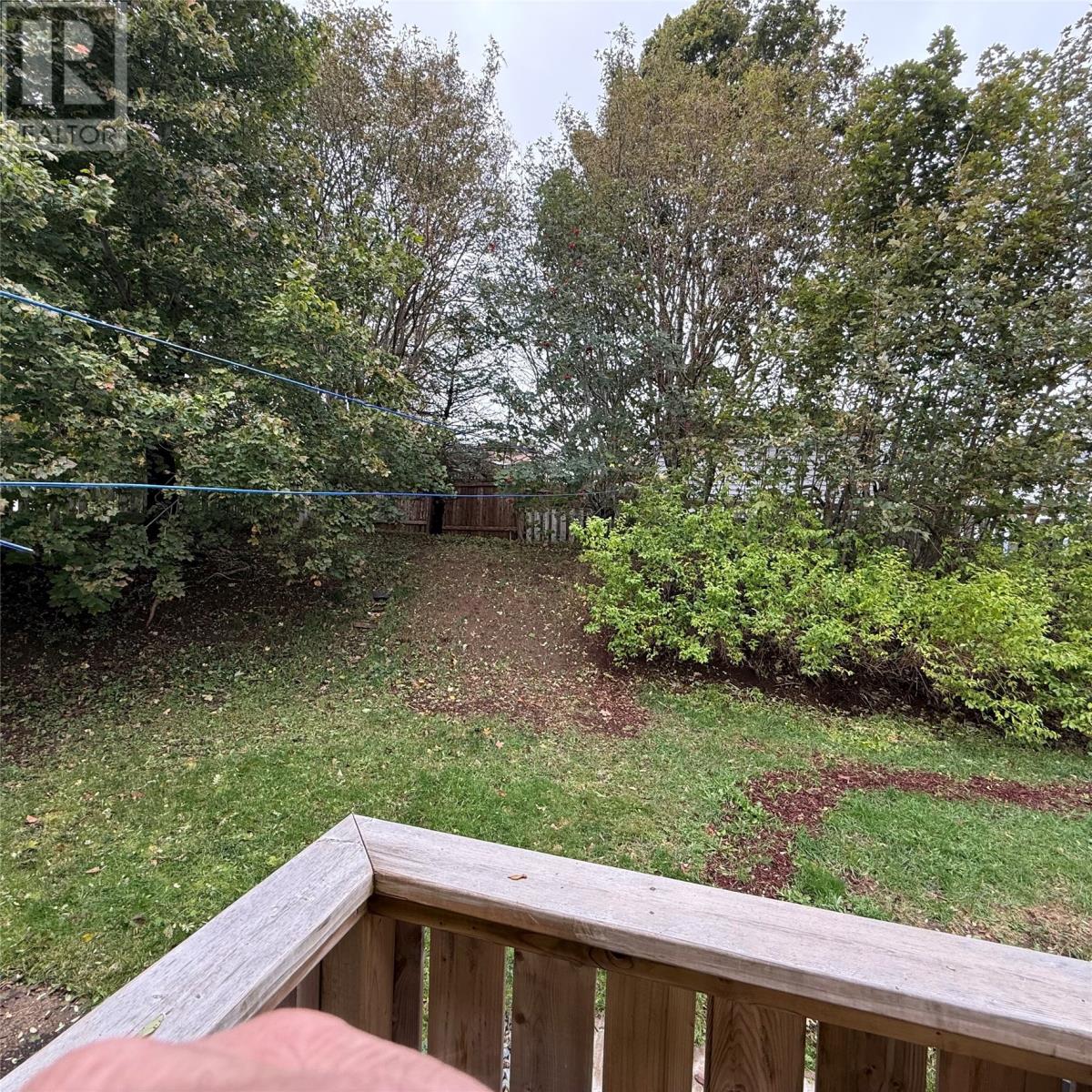 8 Fitzgibbon Street, St. John’s — photo 5