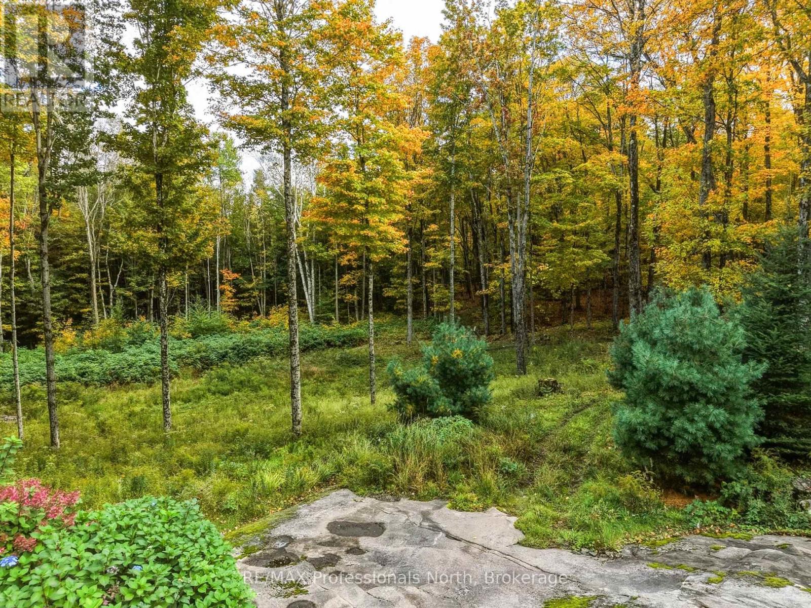 1266 North Shore Road, Muskoka Lakes (Watt), Ontario  P0B 1M0 - Photo 2 - X14085882