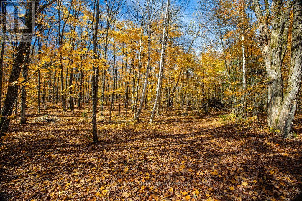 0 Lakeshore Road, Armour, Ontario  P0A 1C0 - Photo 17 - X14085888