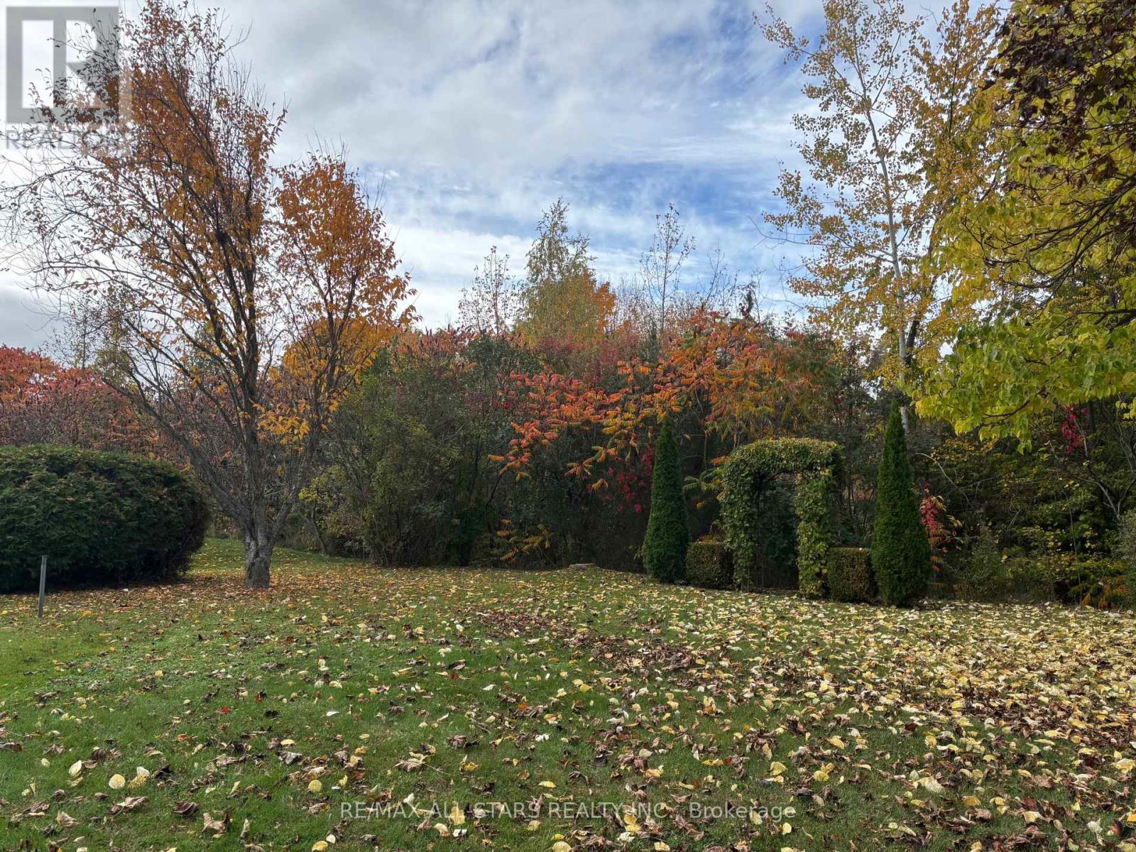 30 Damsel Circle, Georgina, Ontario  L0E 1R0 - Photo 37 - N14086240