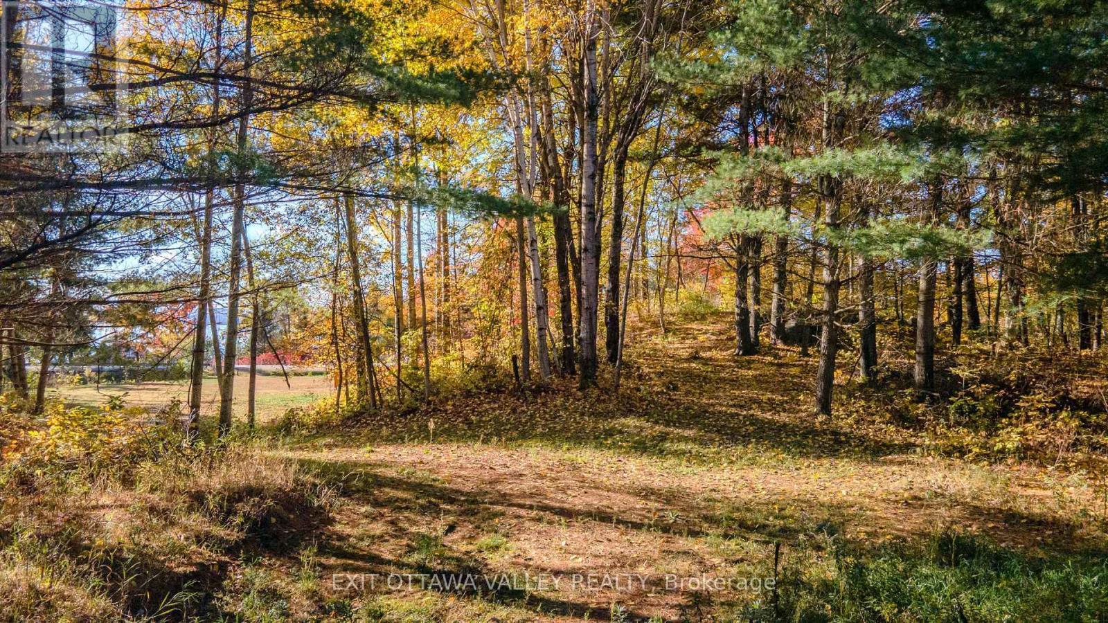 12894 Highway 60 Highway, North Algona Wilberforce, Ontario K0J 1X0 - Photo 16 - X14086548