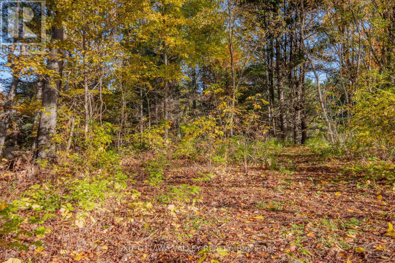 12894 Highway 60 Highway, North Algona Wilberforce, Ontario K0J 1X0 - Photo 34 - X14086548