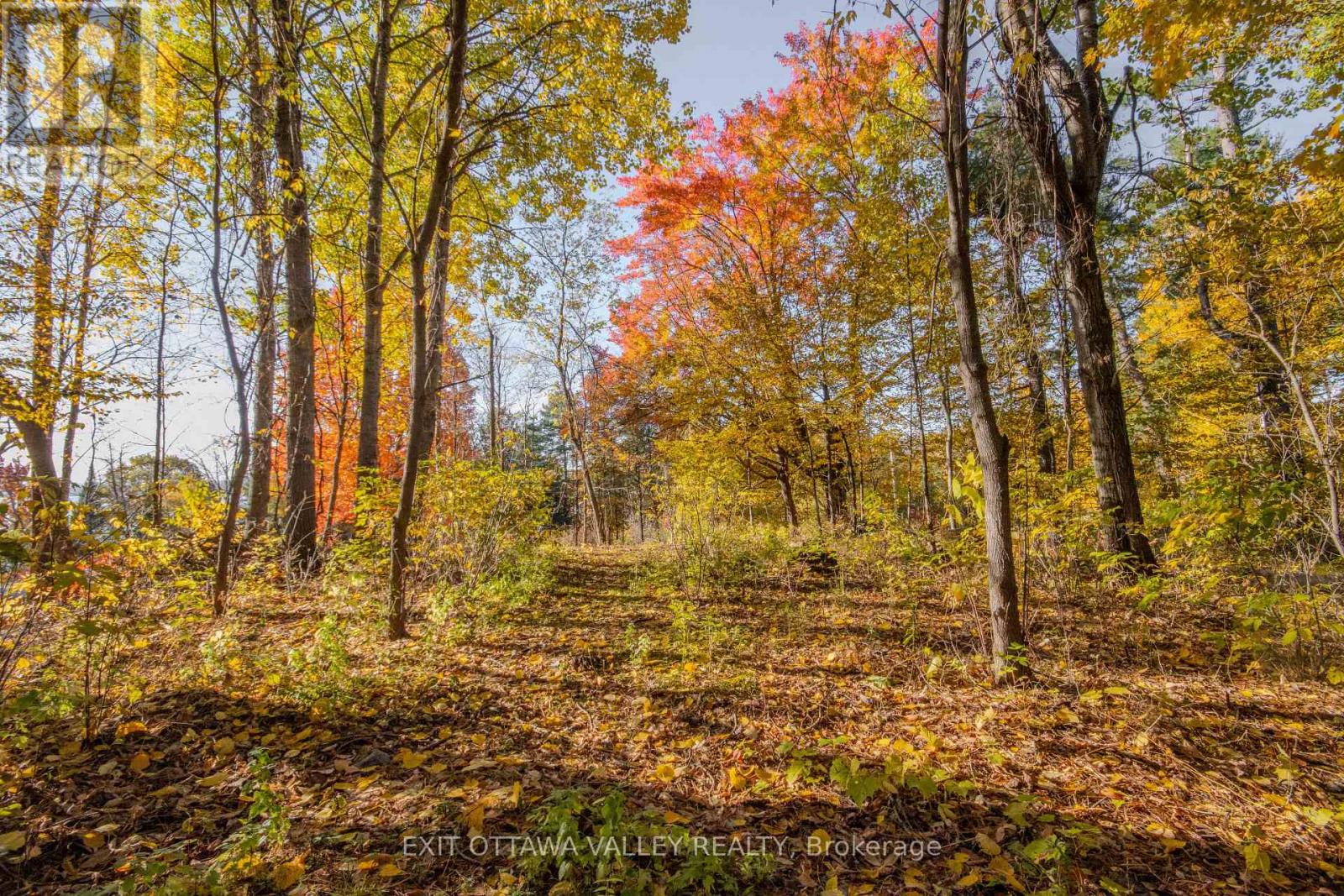 12894 Highway 60 Highway, North Algona Wilberforce, Ontario K0J 1X0 - Photo 36 - X14086548