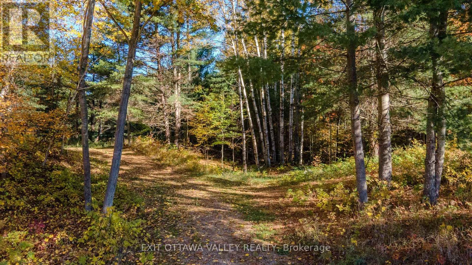 12894 Highway 60 Highway, North Algona Wilberforce, Ontario K0J 1X0 - Photo 8 - X14086548