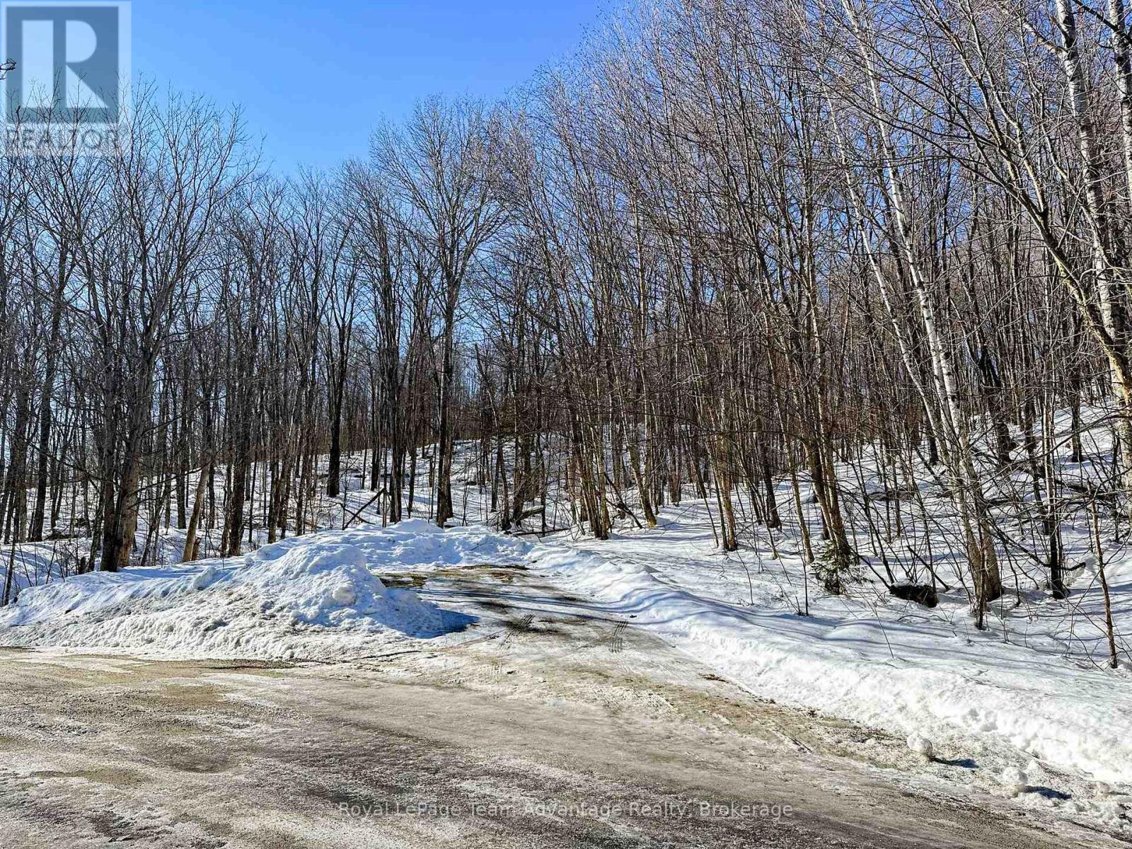 0 Haines Lake Road, Mcdougall, Ontario  P2A 0B3 - Photo 10 - X14086490