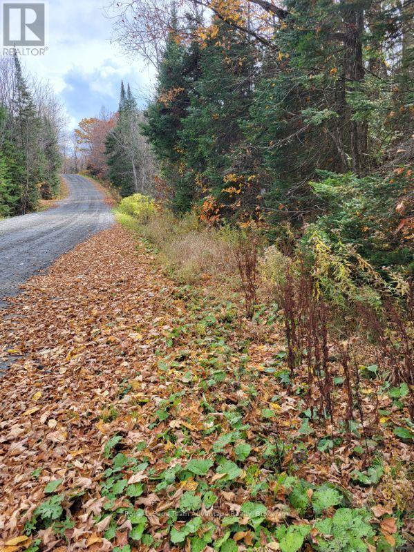 0 Haines Lake Road, Mcdougall, Ontario  P2A 0B3 - Photo 2 - X14086490
