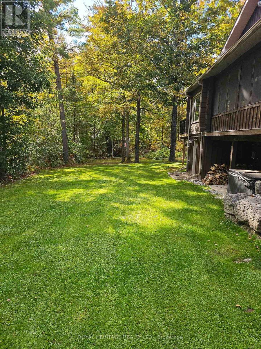 723 County Rd 49 Road, Kawartha Lakes, Ontario  K0M 1A0 - Photo 35 - X14004146