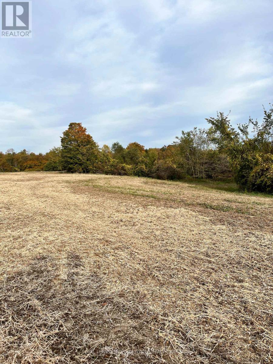 5167 Fifth Line, Erin, Ontario  N0B 1T0 - Photo 33 - X13124308
