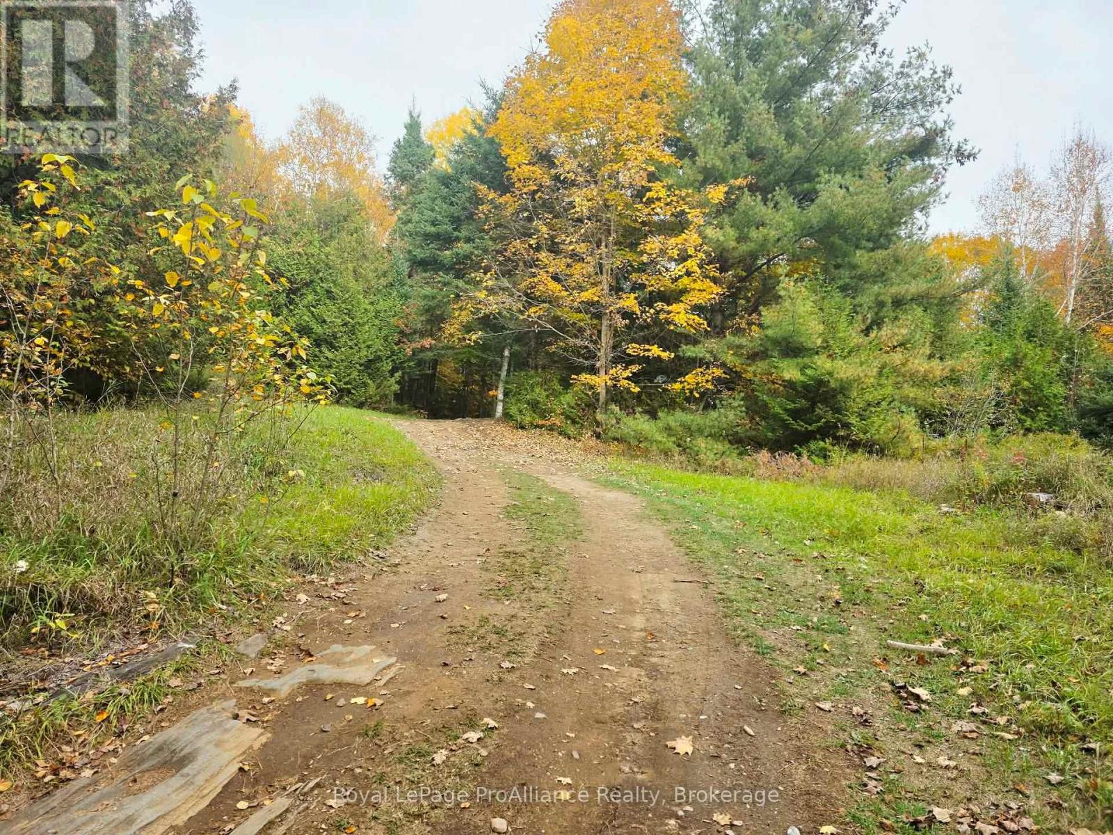 1883 South Road, North Frontenac, Ontario  K0H 1K0 - Photo 7 - X14087188