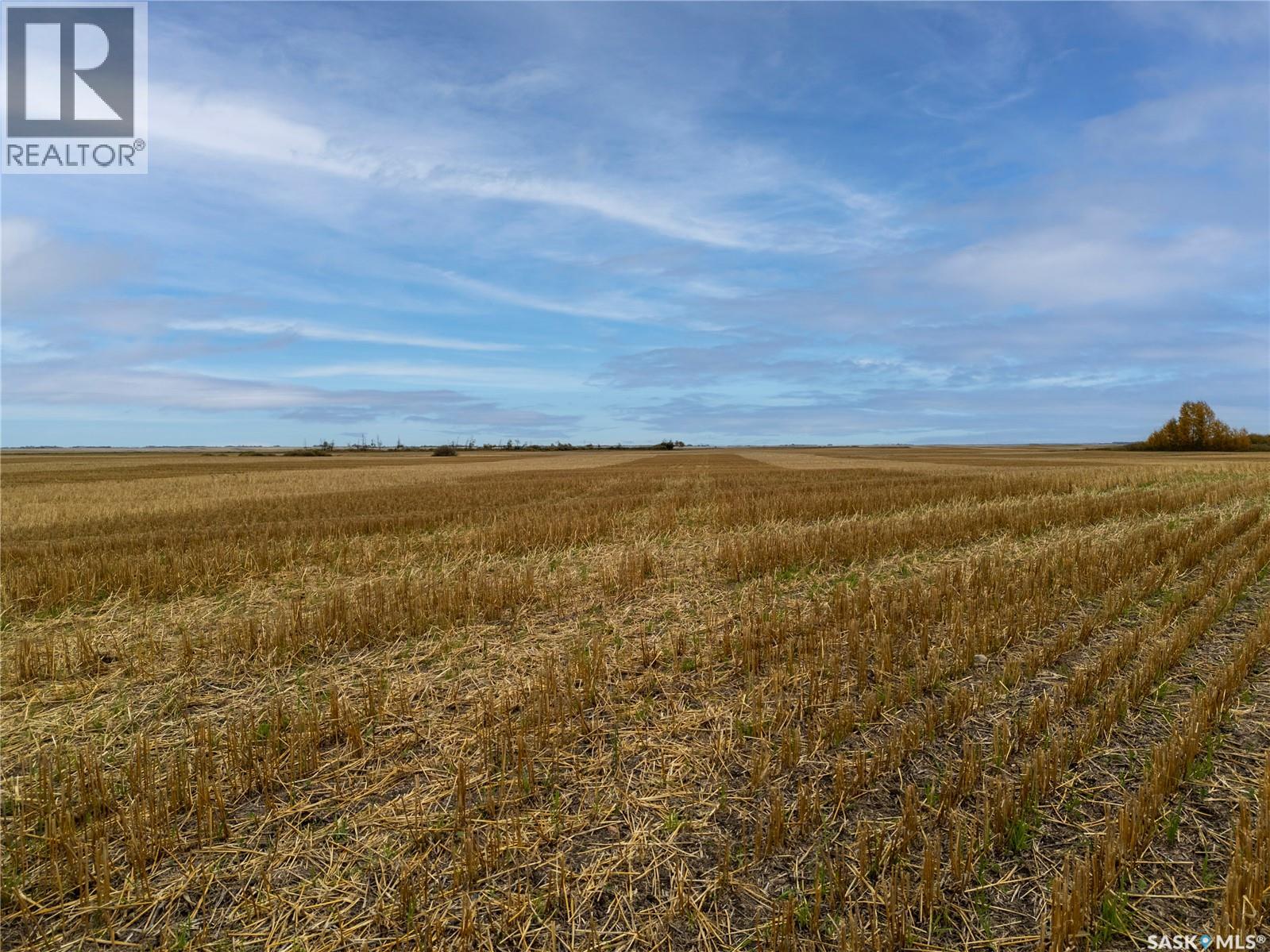 1403 Acres Premium Land Near Abernethy, Sk, Abernethy Rm No. 186, Saskatchewan  S0A 0A0 - Photo 3 - SK051294