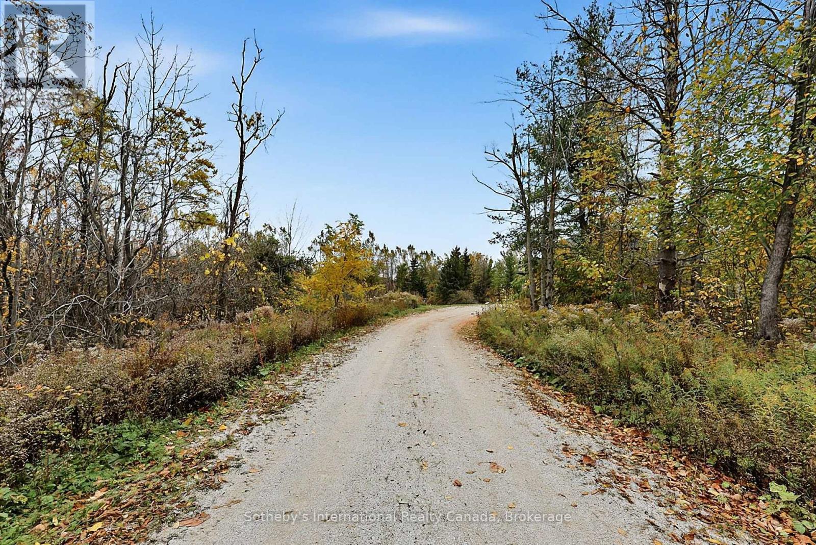 9417 91 County Road, Clearview, Ontario  L0M 1H0 - Photo 2 - S14087392