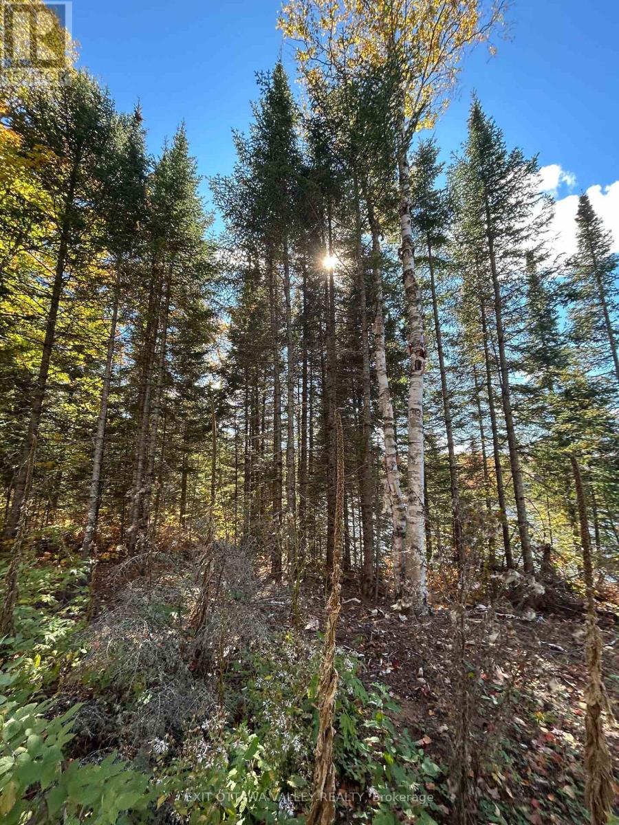 0 Rosien Road, Bonnechere Valley, Ontario K0J 1T0 - Photo 10 - X13881862