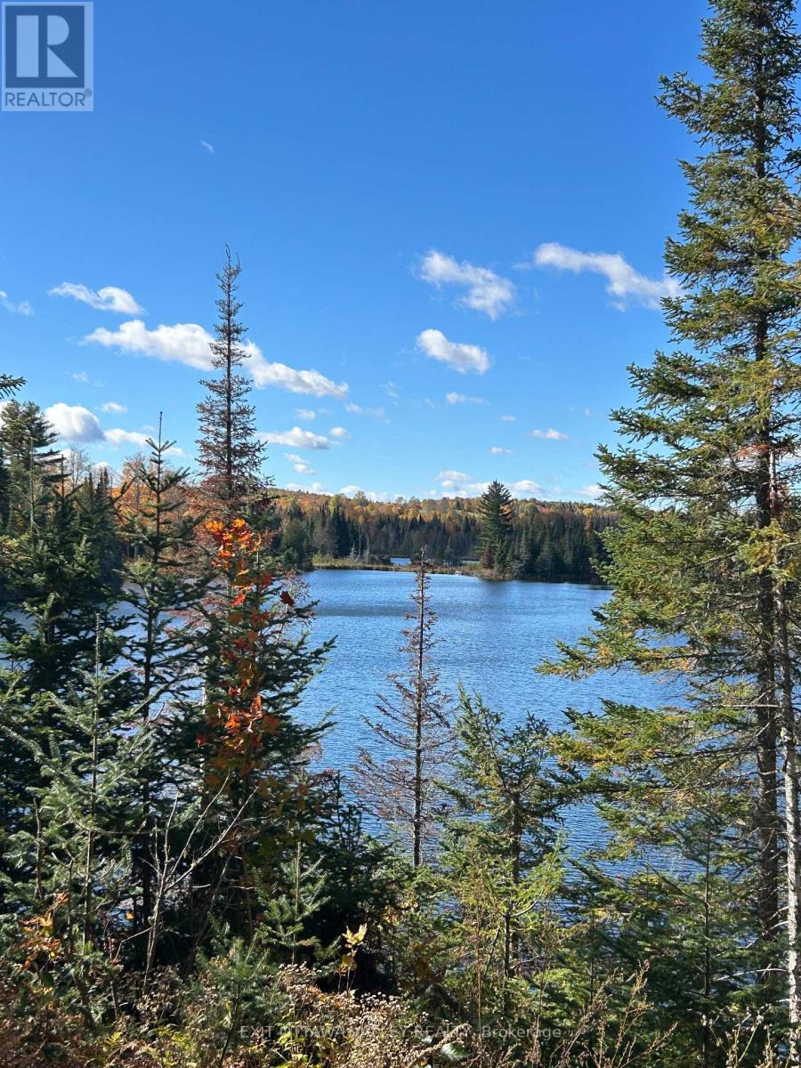 0 Rosien Road, Bonnechere Valley, Ontario K0J 1T0 - Photo 3 - X13881862