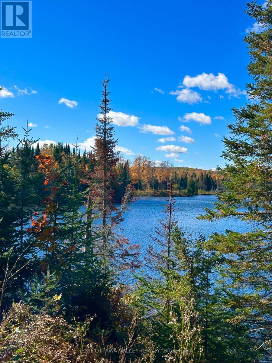 0 Rosien Road, Bonnechere Valley, Ontario K0J 1T0 - Photo 7 - X13881862