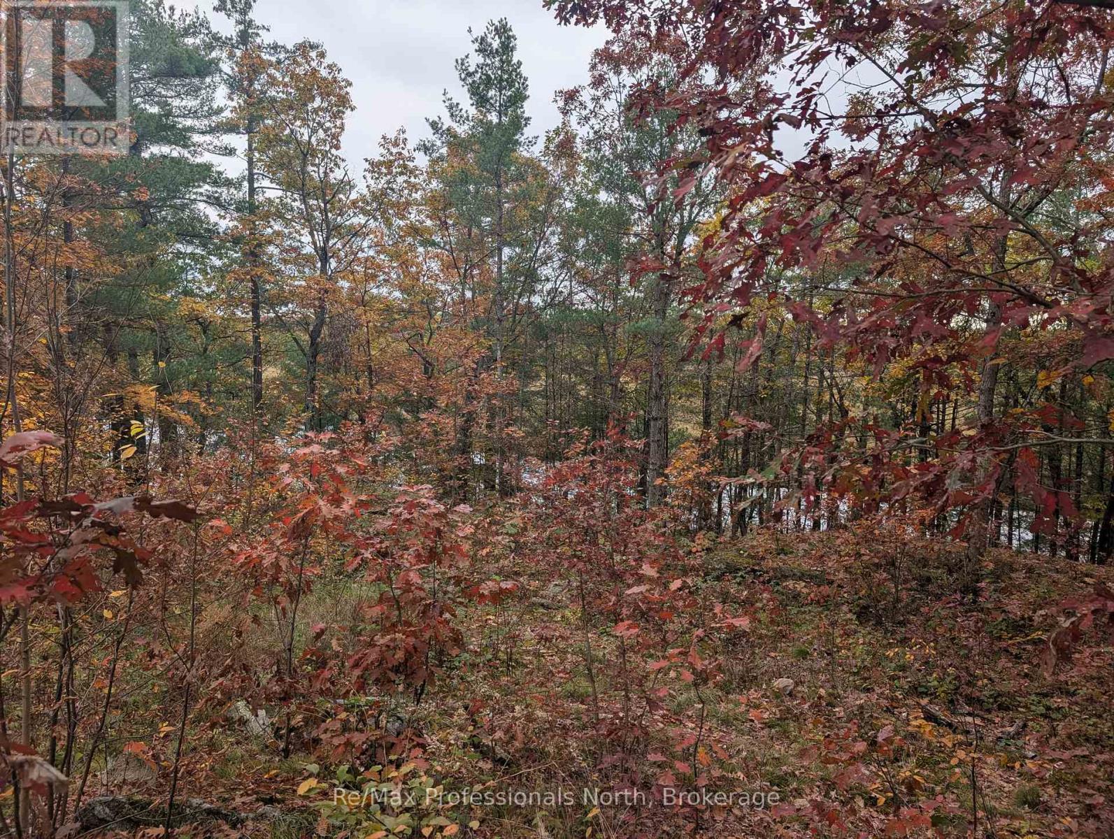 0 Ridge Road, Muskoka Lakes (Wood (Muskoka Lakes)), Ontario  P0C 1M0 - Photo 10 - X14087644