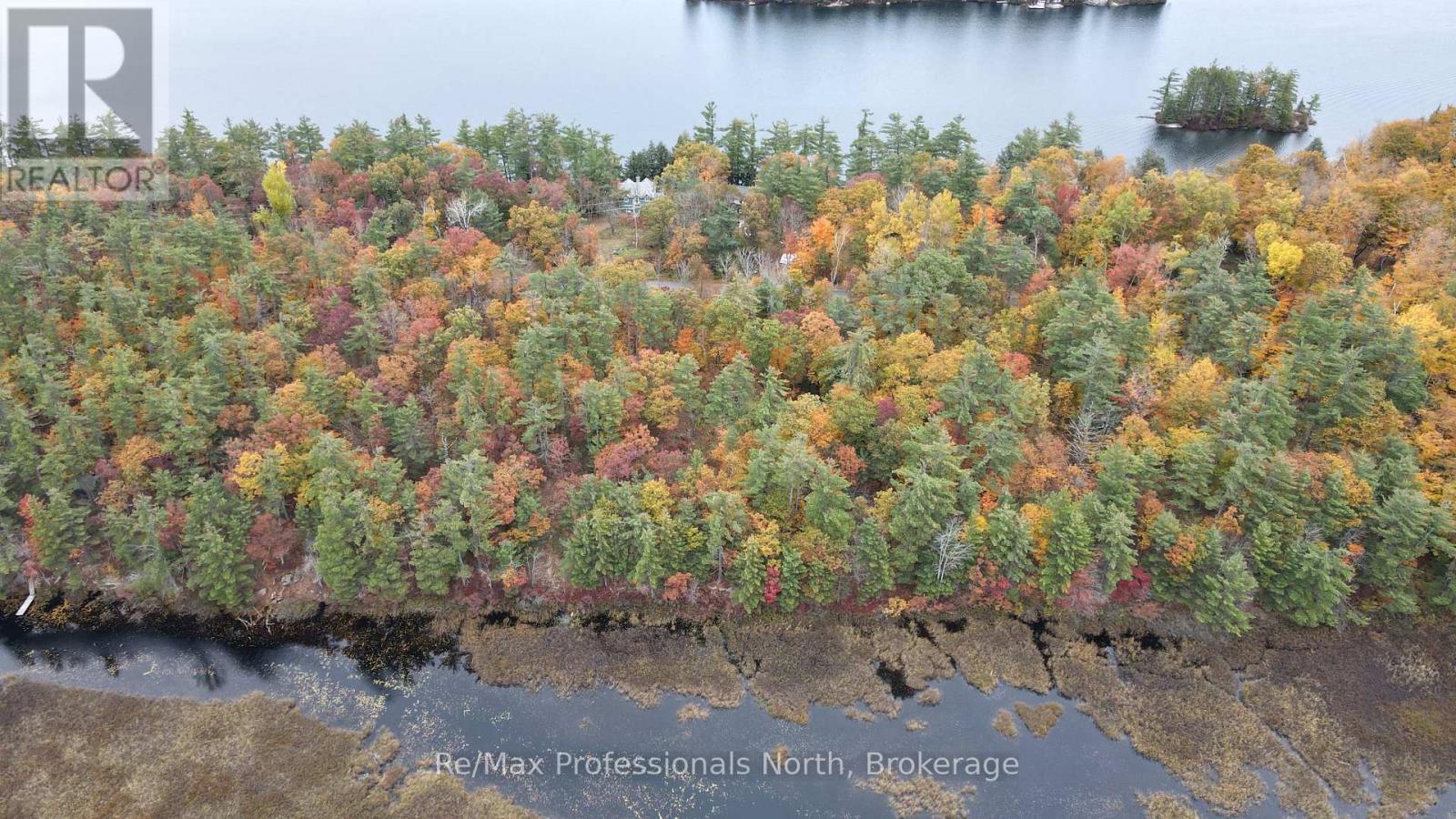0 Ridge Road, Muskoka Lakes (Wood (Muskoka Lakes)), Ontario  P0C 1M0 - Photo 4 - X14087644