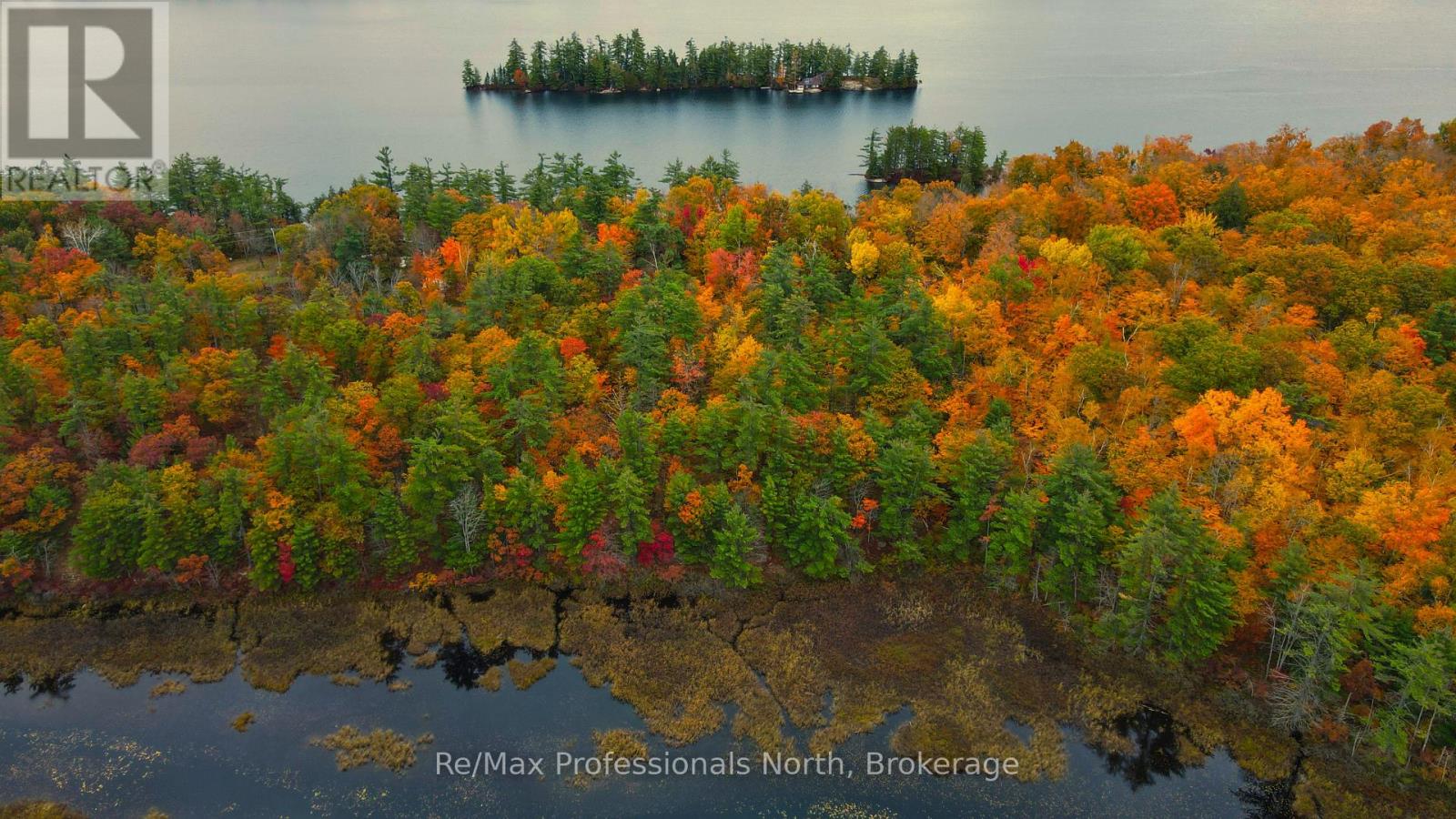 0 Ridge Road, Muskoka Lakes (Wood (Muskoka Lakes)), Ontario  P0C 1M0 - Photo 5 - X14087644