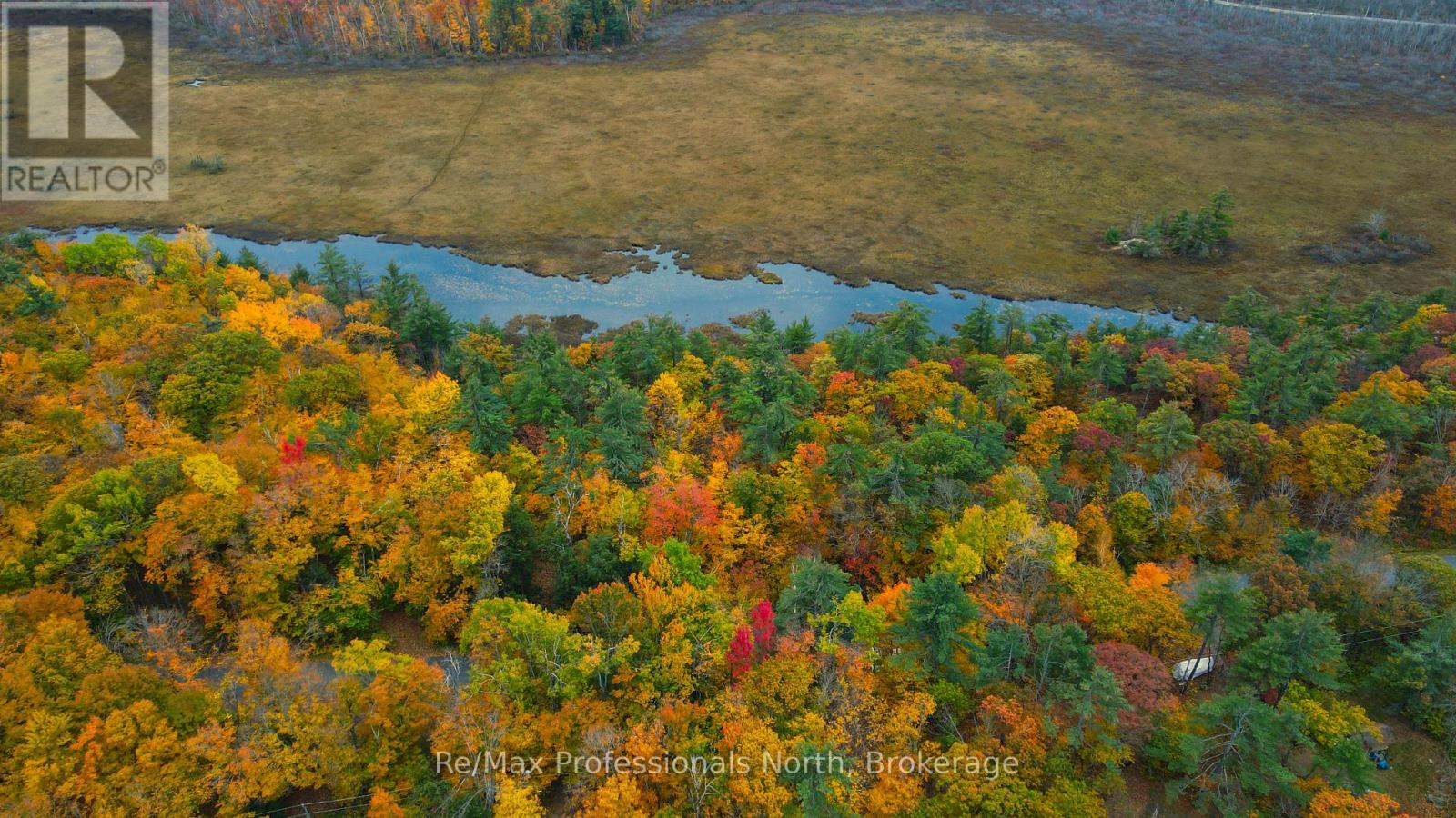 0 Ridge Road, Muskoka Lakes (Wood (Muskoka Lakes)), Ontario  P0C 1M0 - Photo 6 - X14087644