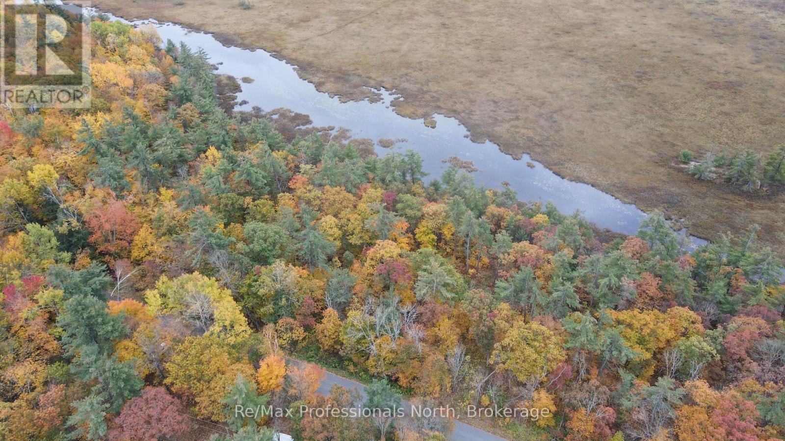 0 Ridge Road, Muskoka Lakes (Wood (Muskoka Lakes)), Ontario  P0C 1M0 - Photo 7 - X14087644