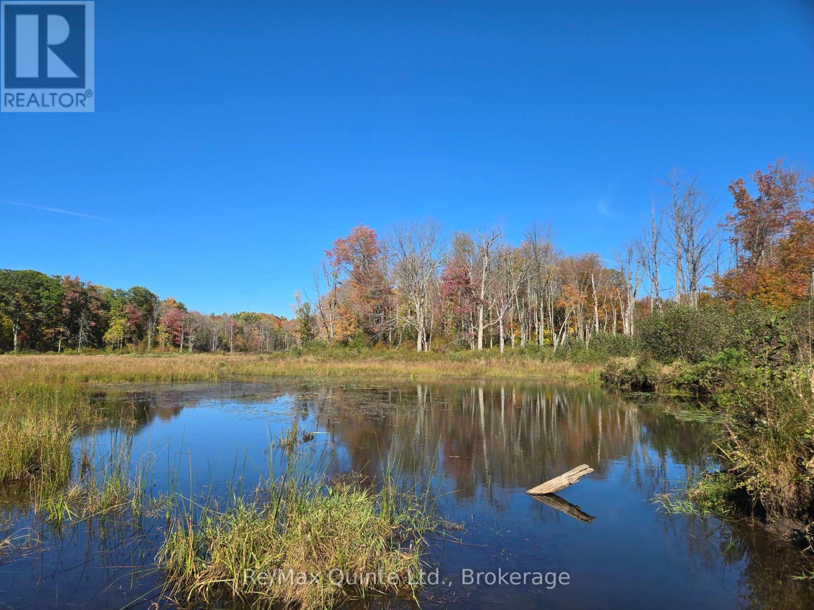 1477 Sulphide Road, Tweed, Ontario  K0K 3J0 - Photo 43 - X13686994