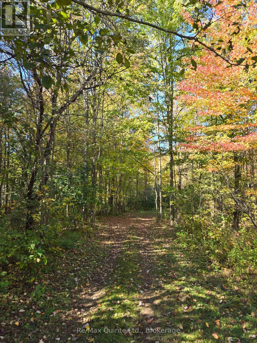 1477 Sulphide Road, Tweed, Ontario  K0K 3J0 - Photo 28 - X13686994