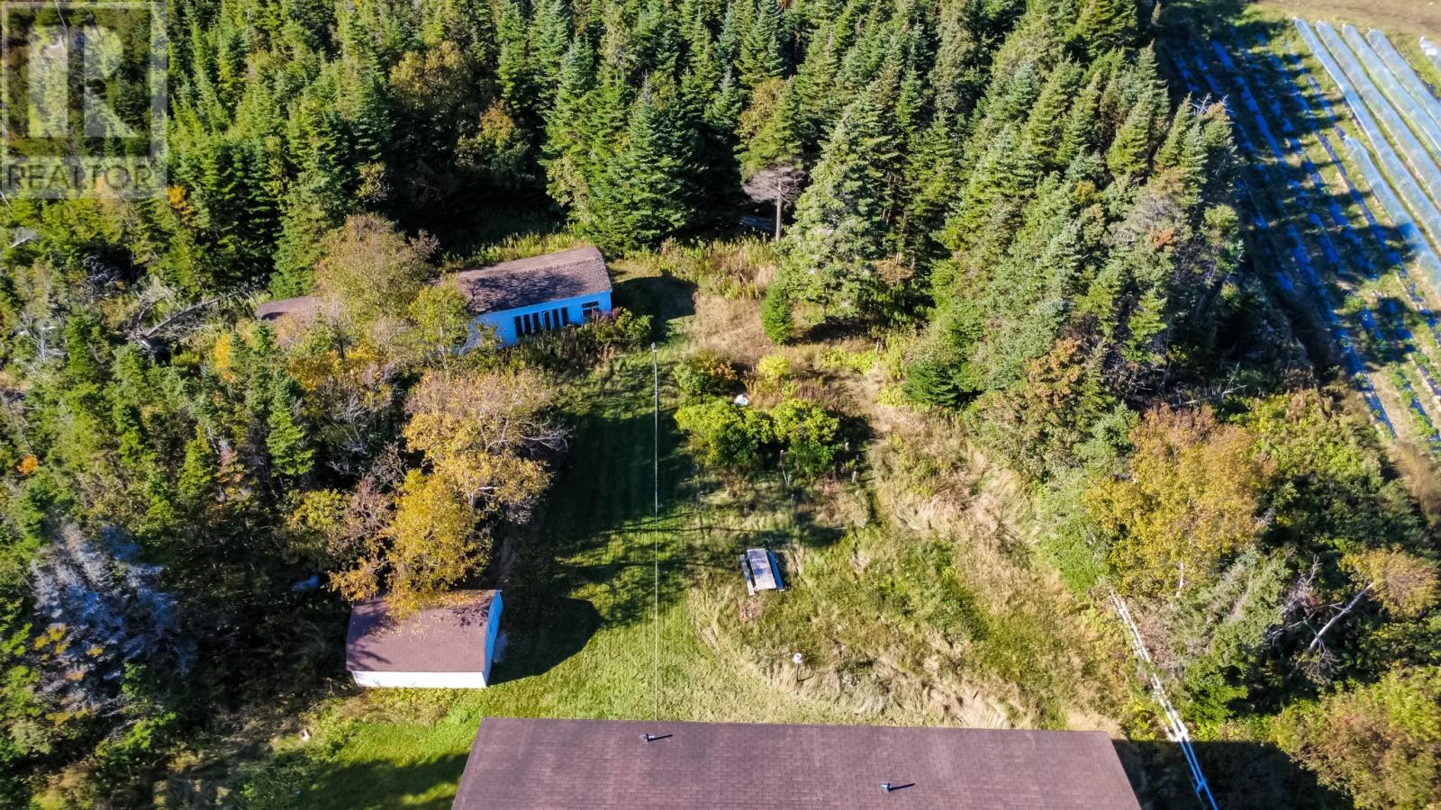 55 Heavy Tree Road, St John's, Newfoundland & Labrador  A1G 1P5 - Photo 39 - 1304152